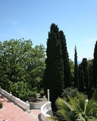 Вид из номера