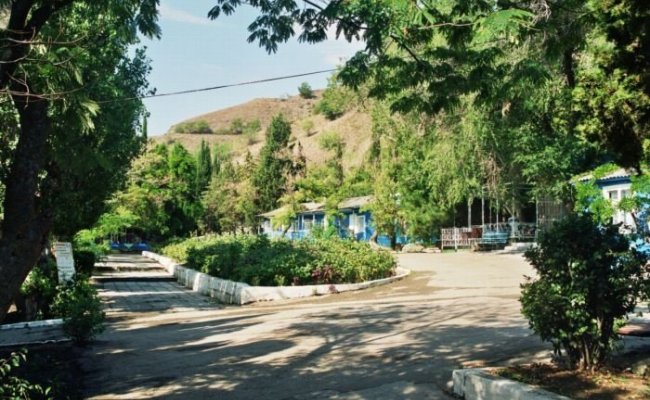 Территория пансионата "Рассвет" Территория пансионата "Рассвет"