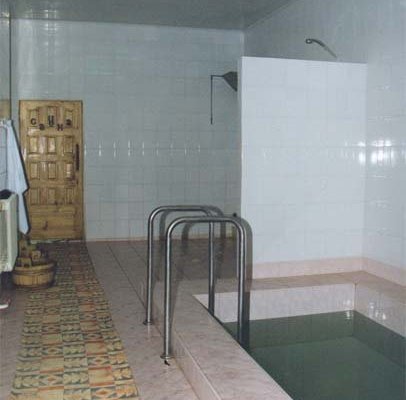 Бассейн в бане