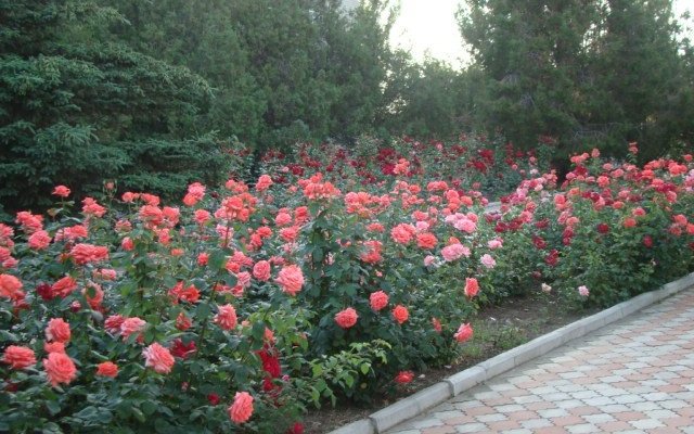 Отдых на берегу моря