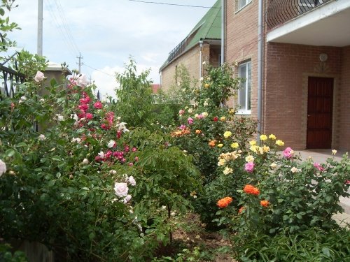 Отдых на "Малибу", Кирилловка