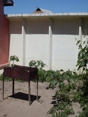 Отдых на свежем воздухе