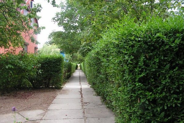 Азовское море, отдых с детьми