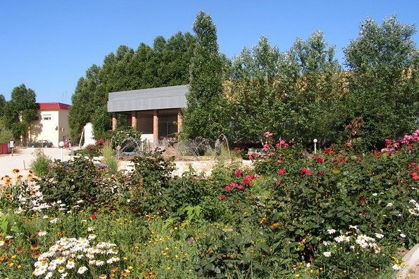 Отдых на Азовском море