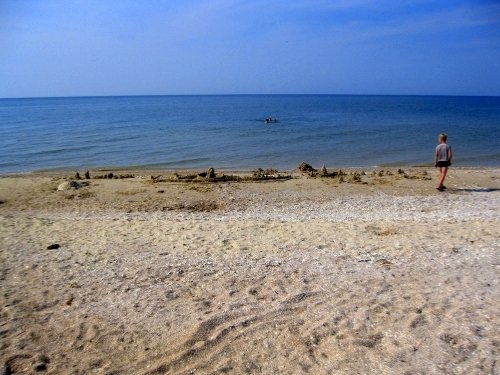 Отдых в Степановке Первой