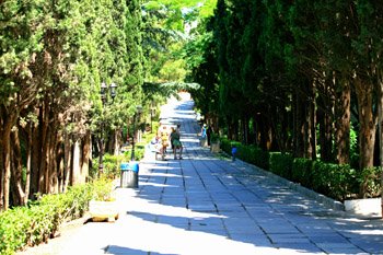 Территория "Магнолия"