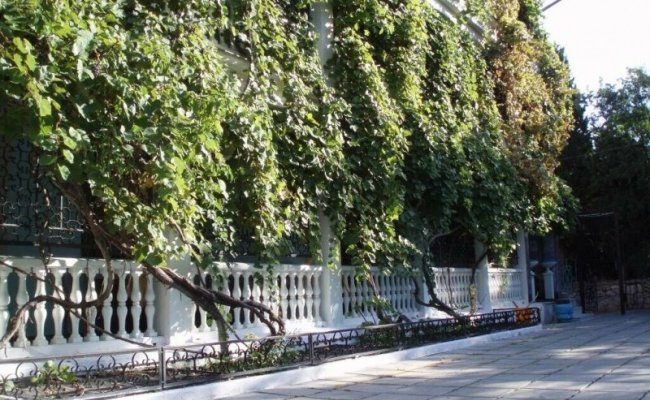 Отдых в Ялте