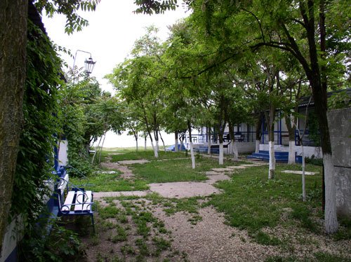 Территория базы отдыха "Азов" Территория базы отдыха "Азов"