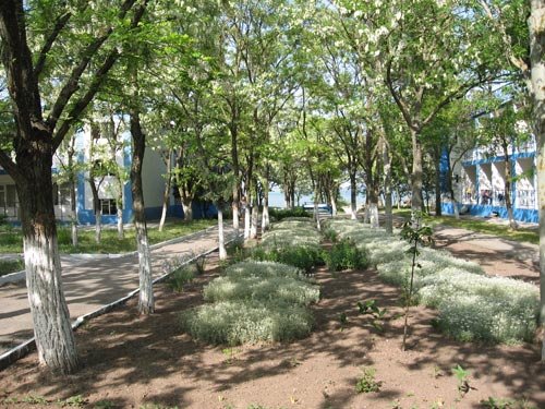 Лутний отдых в Тубале Лутний отдых в Тубале