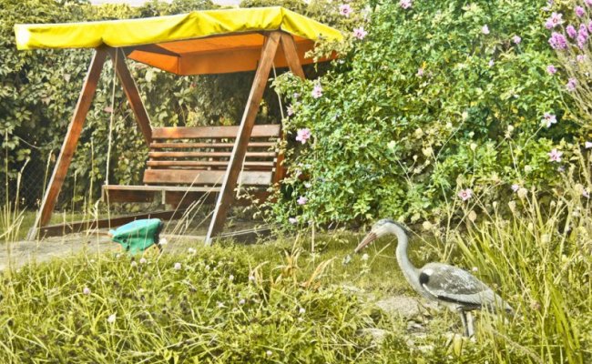 Отдых в Пансионате "Премьера", Железный Порт