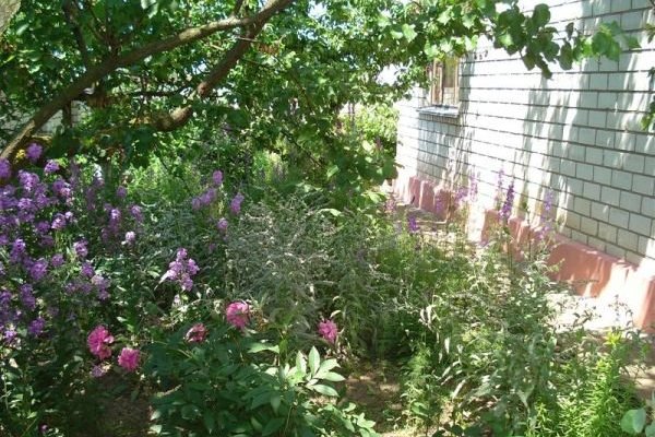 Отдых в частном секторе