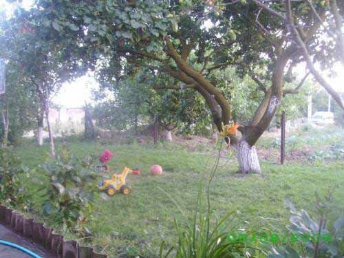 Жилье в частном секторе, Железный Порт