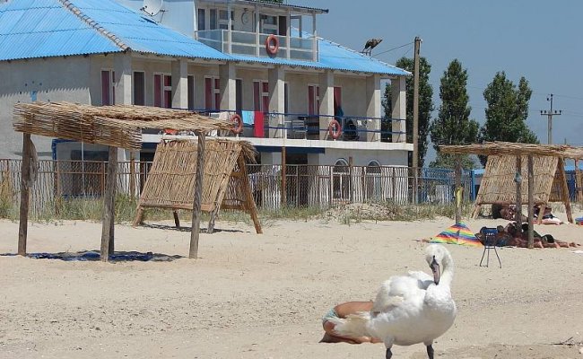 Пансионат "Будаки", Курортное