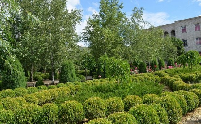 Отдых в Курортном, Одесская область Отдых в Курортном, Одесская область