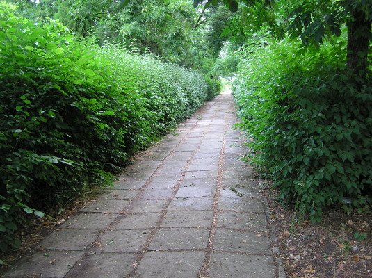 Отдых в Курортном. БО "Приморск"