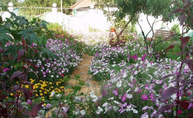 Территория