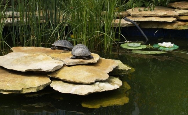 База отдыха "Водограй", Затока