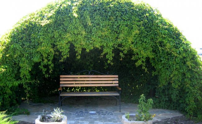 Беседка для отдыха