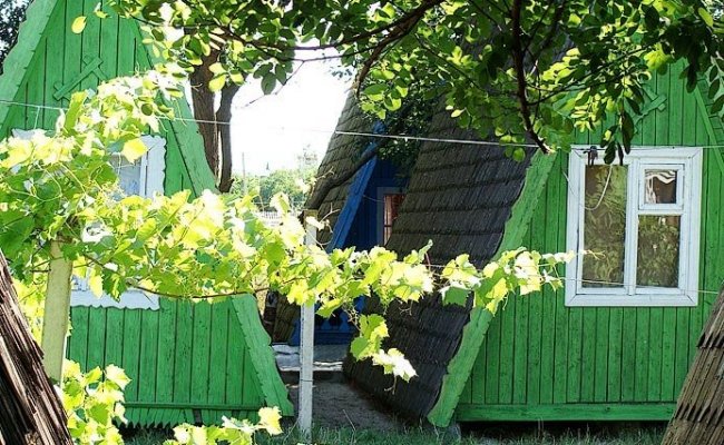 Отдых в Примоском, "Нива"