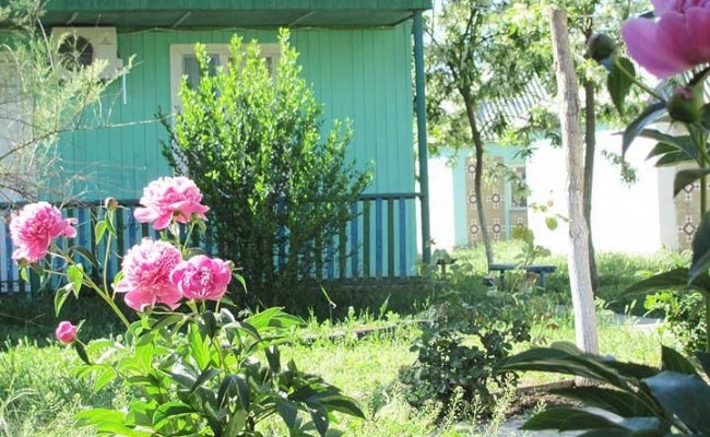 Отдых в Приморском