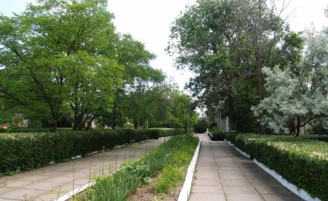 Вид на Азовское море Вид на Азовское море