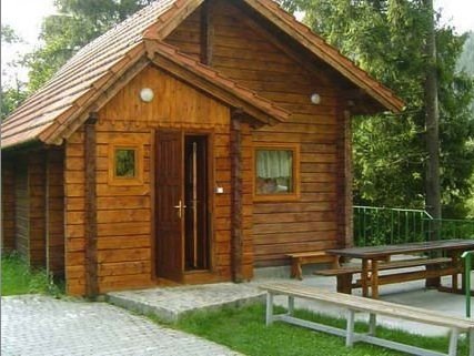 Отдых в Карпатах