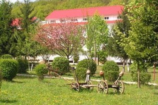 Здравницы Закарпатья