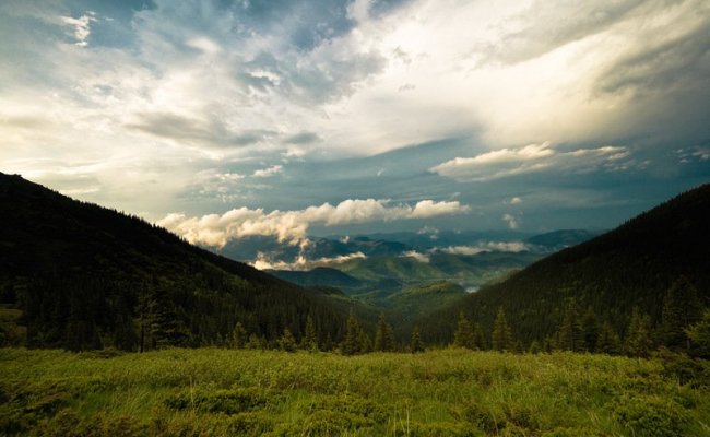 Отдых в Карпатах