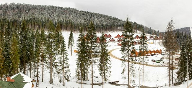 Отдых в Карпатах