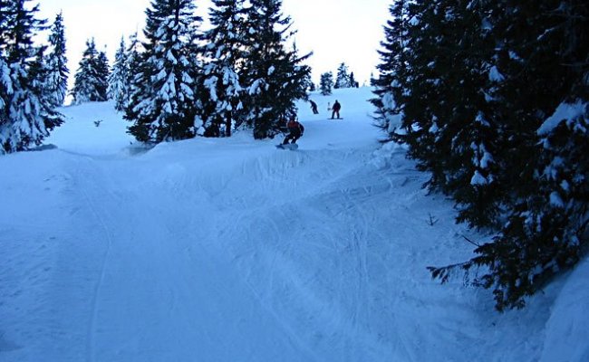 Отдых в Драгобрате Отдых в Драгобрате