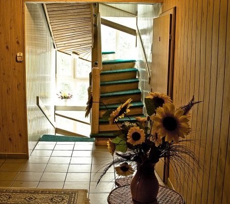 Отдых в Карпатах Отдых в Карпатах