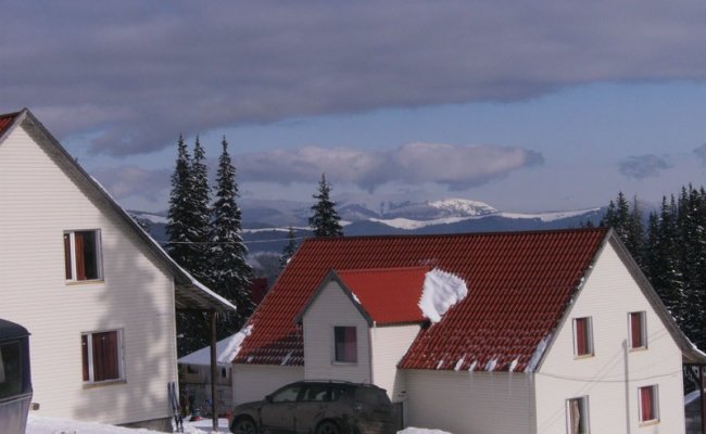 Отдых в Карпатах