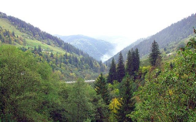 Отдых в Карпатах