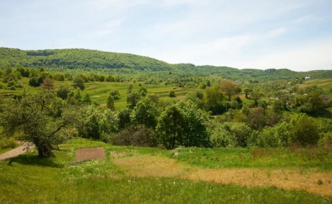 Природа Карпат