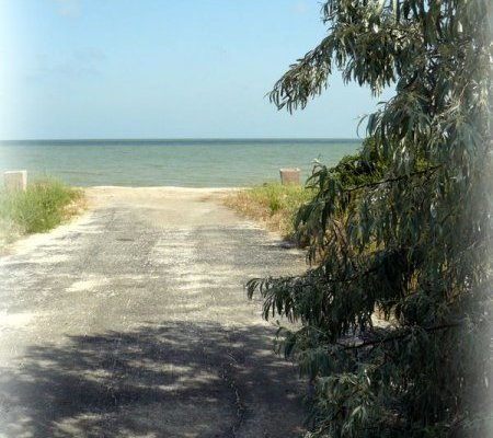 Отдых на Азовском море Отдых на Азовском море