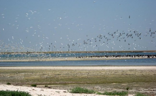 Нетронутая природа