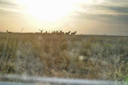 Отдых на Берючем острове