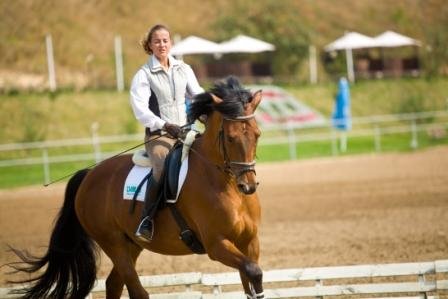 Занятия конным спортом, Киев