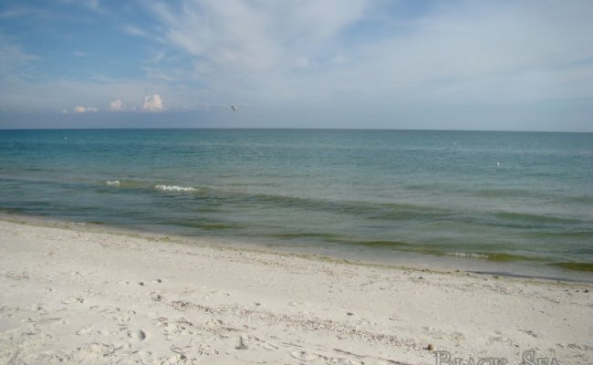 Пляж и Черное море. Скадовск